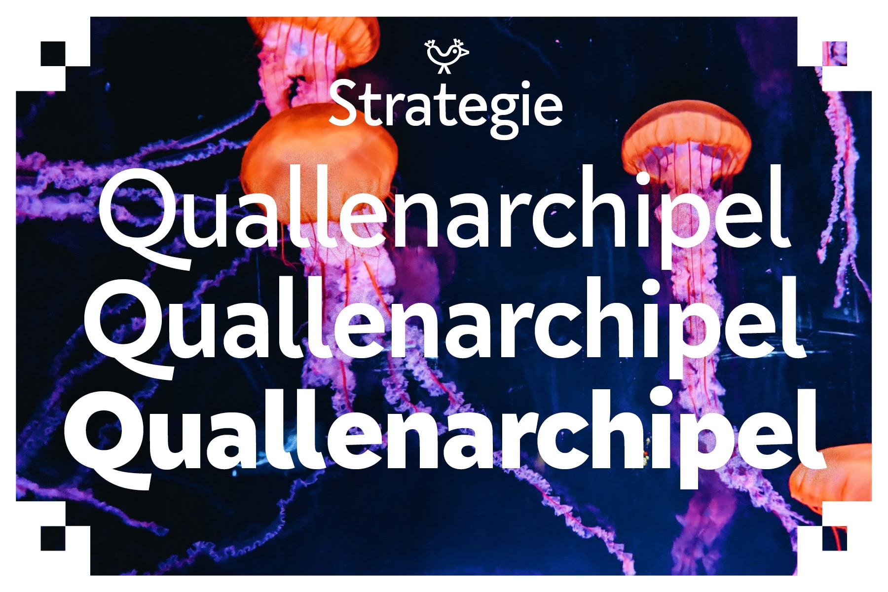 Strategie — „Quallenarchipel“ in drei Strichstärken, weiß auf einem Foto leuchtender Quallen